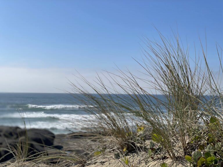 Coastal Wind, Marionberries, and Inspiration